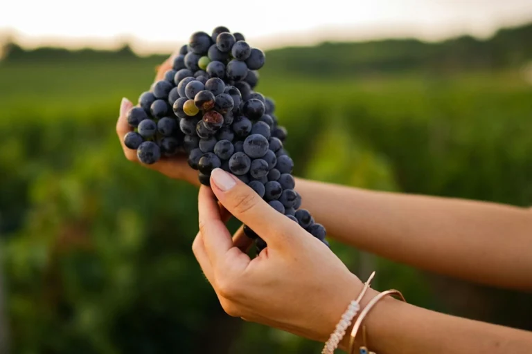 kazdağlarında jakuzili otel